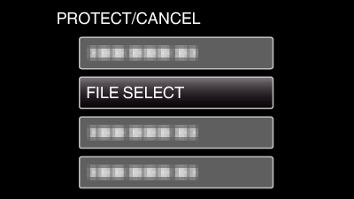 PROTECT FILE SELECT